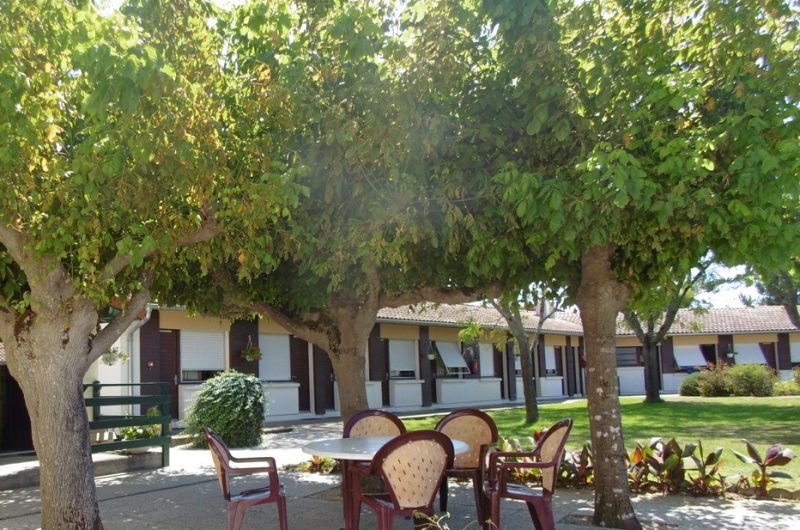 P1070098 (2) (Copier)