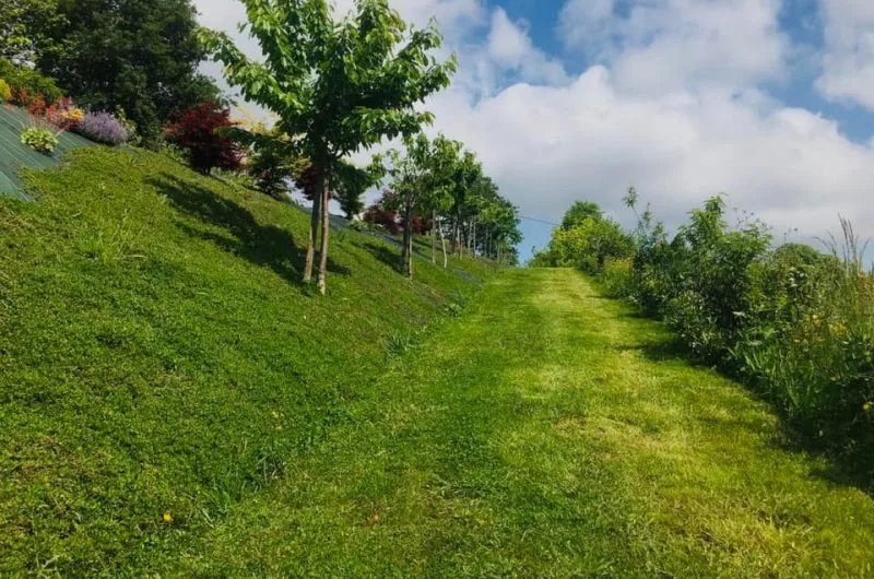 Parcours © Musée du Fruit