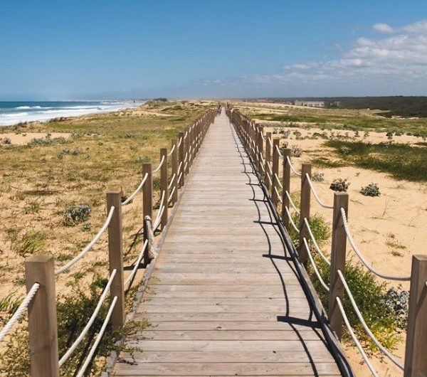 A Labenne, Chemin pédestre, «Un chemin, Une école»