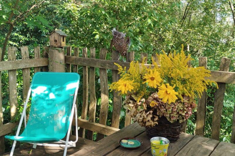 Photo papyjotte 2024