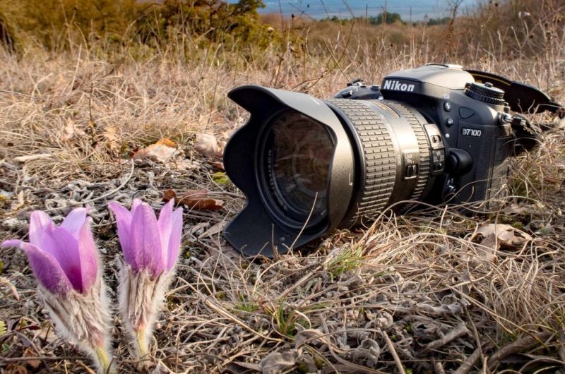 Photographie-nature