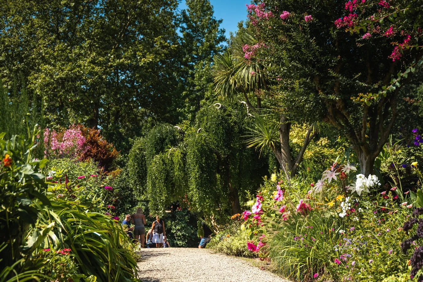 A Mimizan, sentier de la Promenade Fleurie