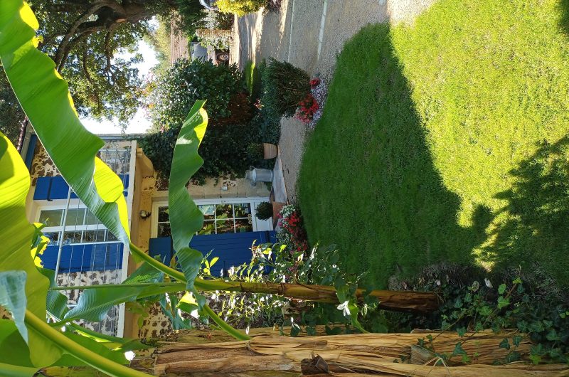 Ratie maison h 1