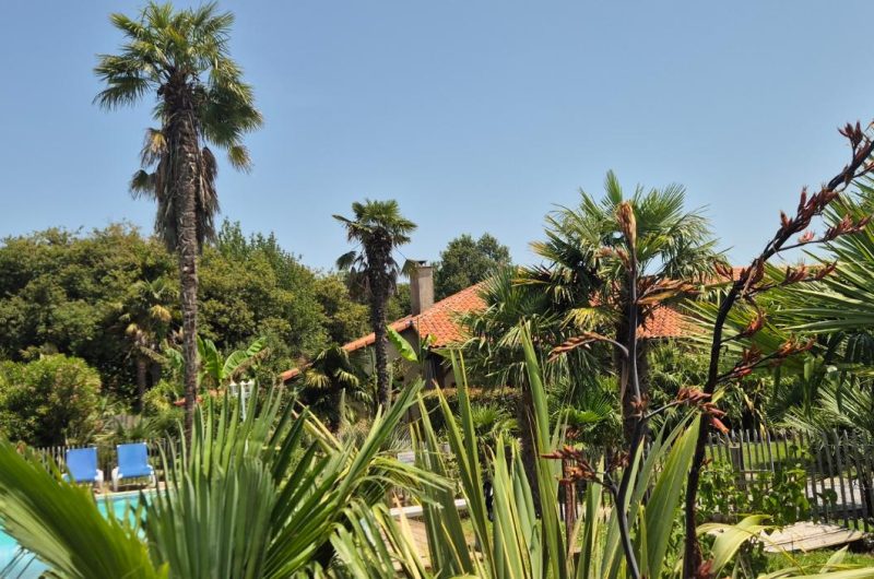 Renaissance Lamarne (2)