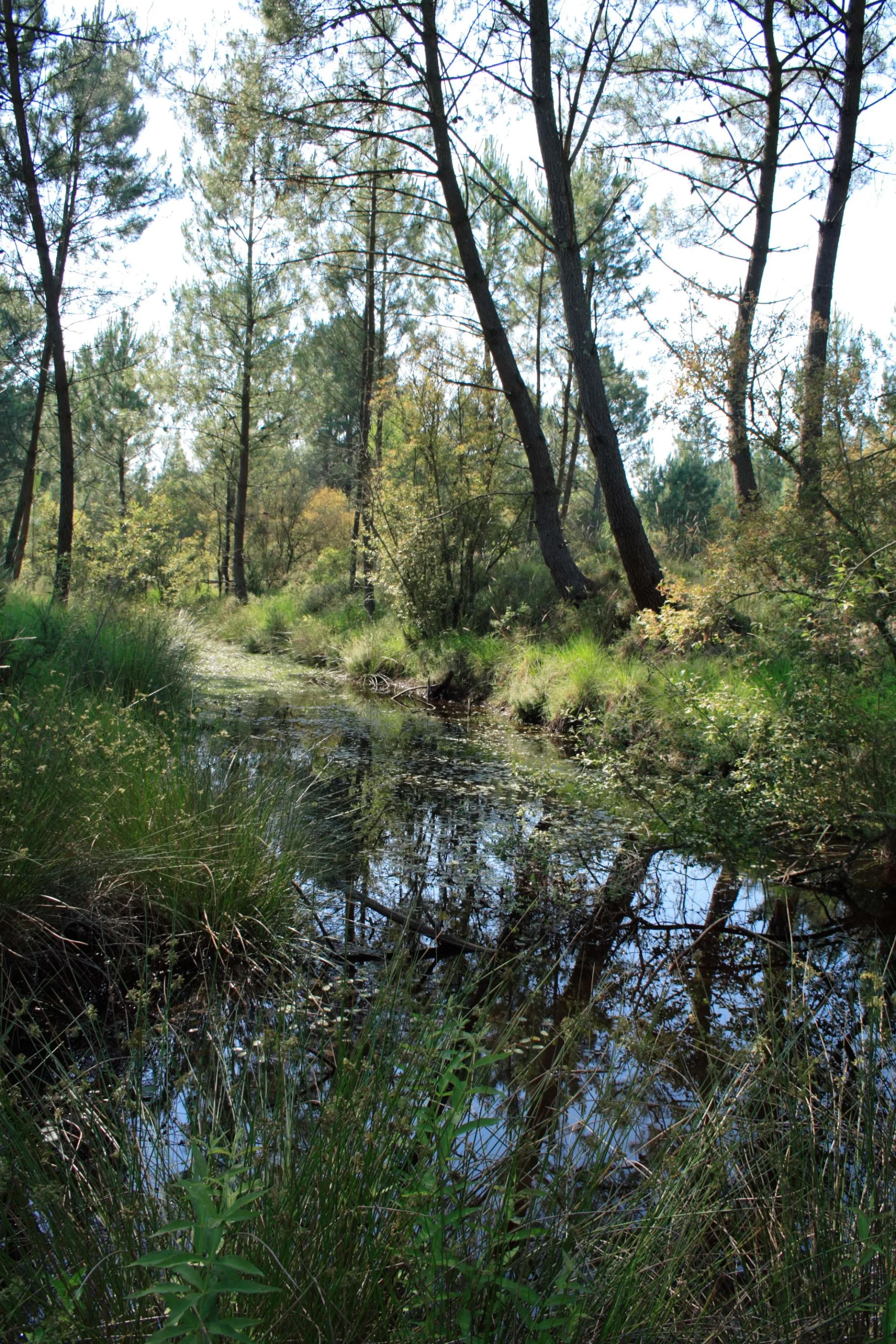 A Arjuzanx, la piste du lac