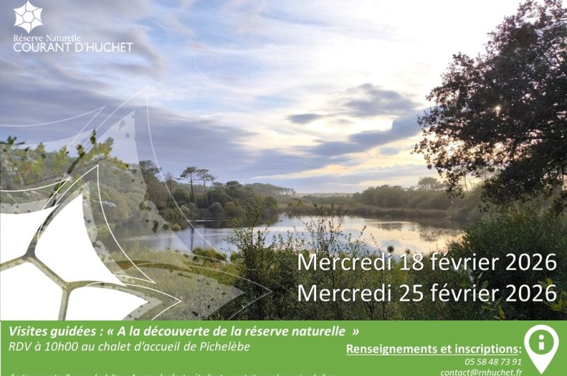 Réserve-Huchet-Visite-guidée-fev2026_molietsetmaa@OTILandesAtlantiquesud
