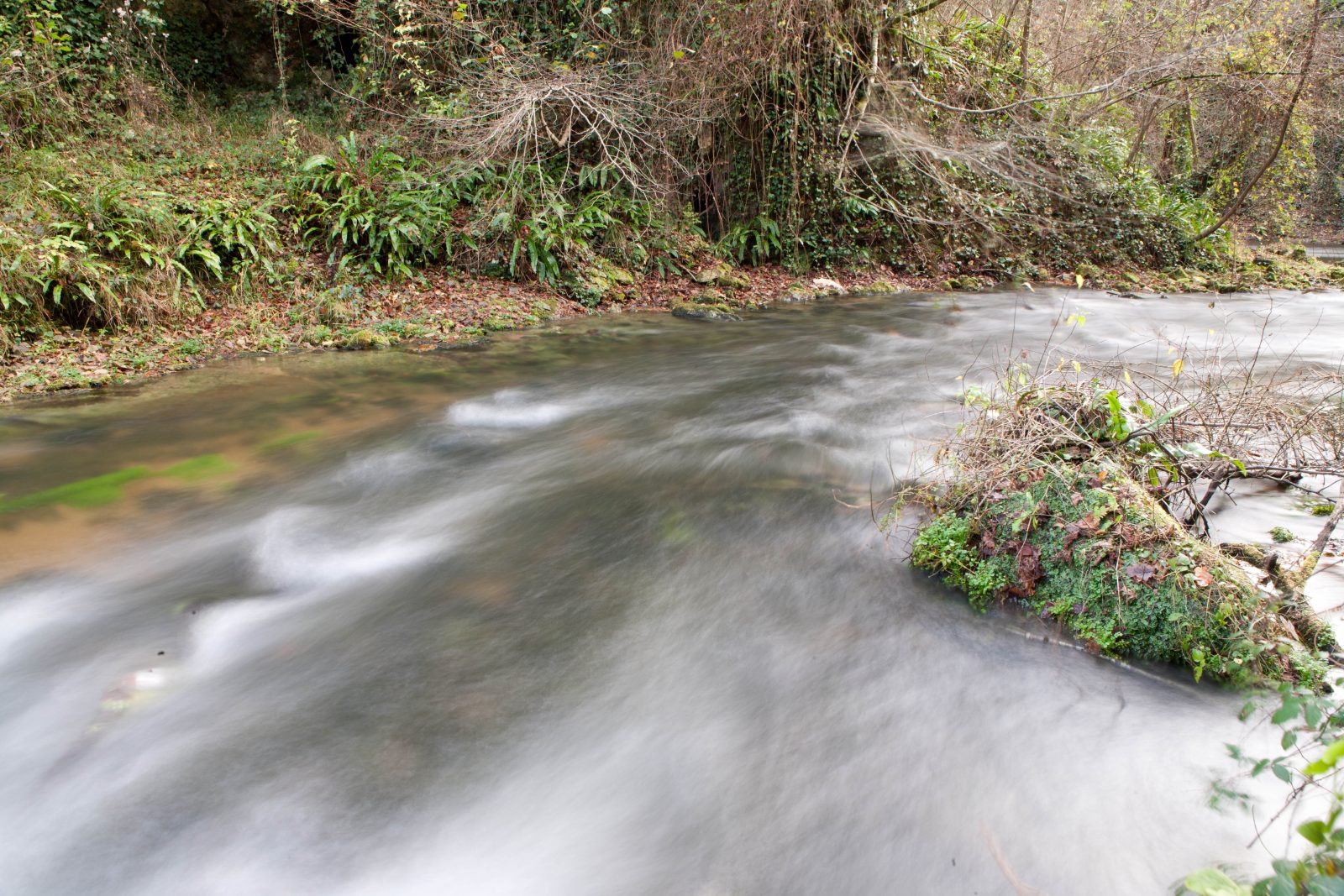 Roquefort – Estampon (2)