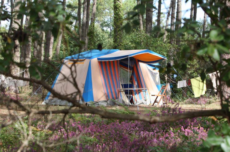 STJU_Camping La Téouleyre  (1)