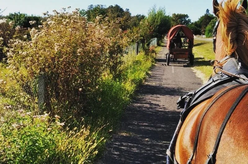 STJU_La Roue Libre 40 (1)