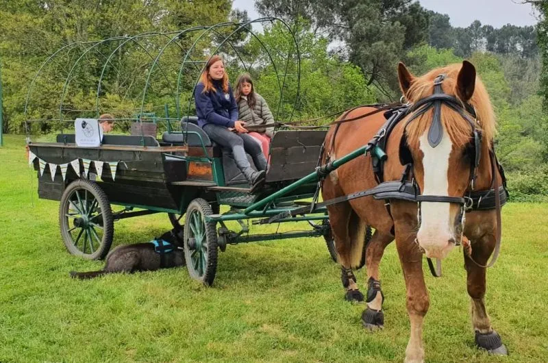 STJU_La Roue Libre 40 (4)