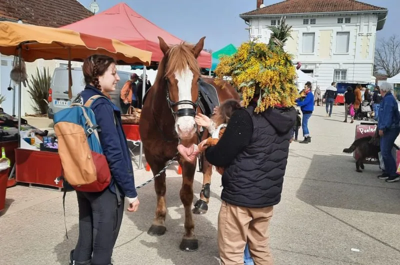 STJU_La Roue Libre 40 (7)