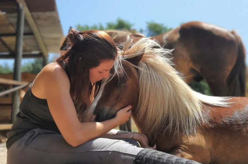 STJU_La Roue Libre 40 (8)