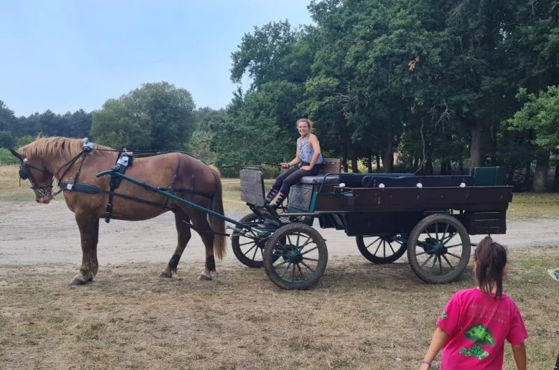 STJU_La Roue Libre 40 (9)