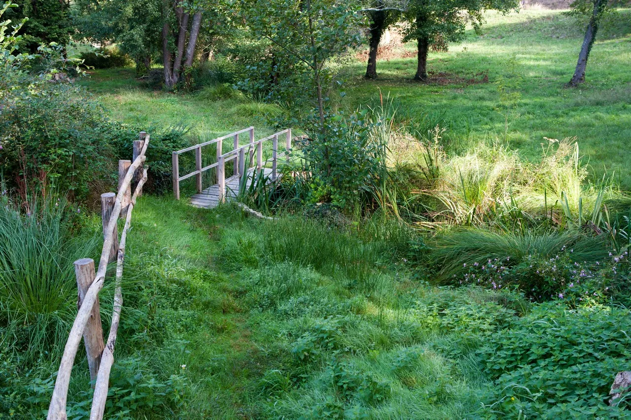 Saint-Foy—Loisirs-et-activites—sites-decouvertes—etang-de-saint-foy—petit-pont