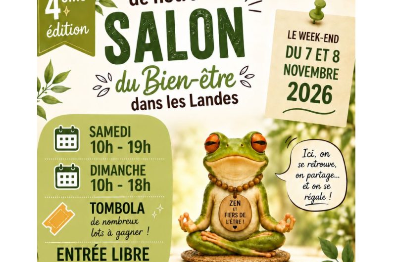 Retouches visuels Tourinsoft animations – théâtre-octobre-rose-tarnos