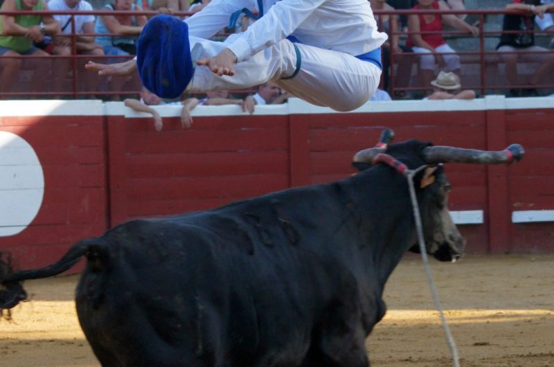 Saut – Copyright Céline LAFFARGUE