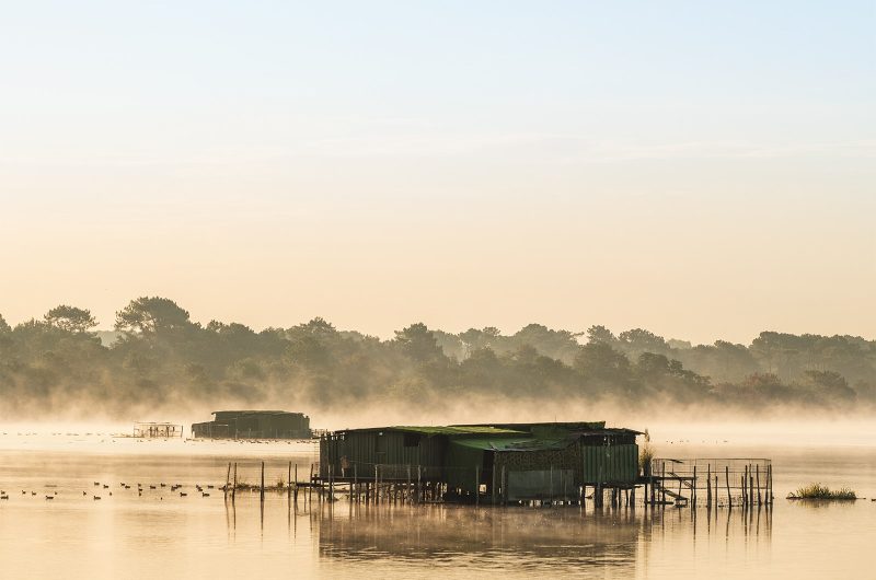 Seignosse – Etang Blanc