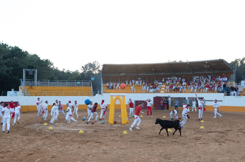 Séminaire – Jour 1 – Campo de Mées (3) copie