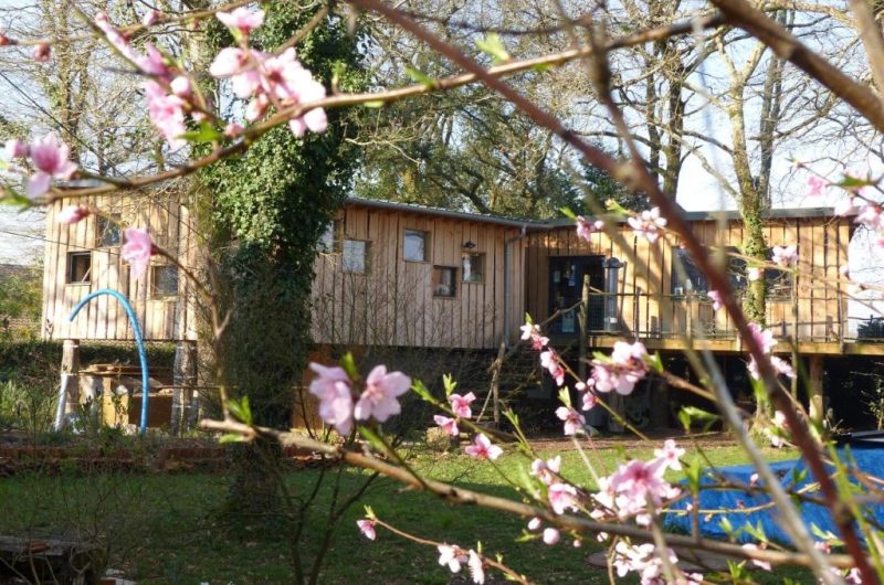 Sur-un-livre-perche-2-Saubion-Landes-Atlantique-Sud