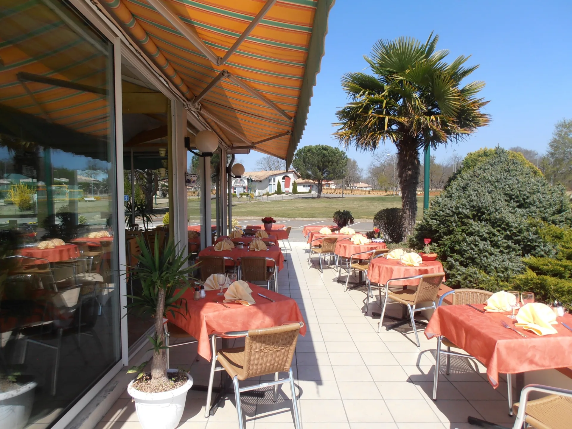 TER-NAP-RGE-P3310079