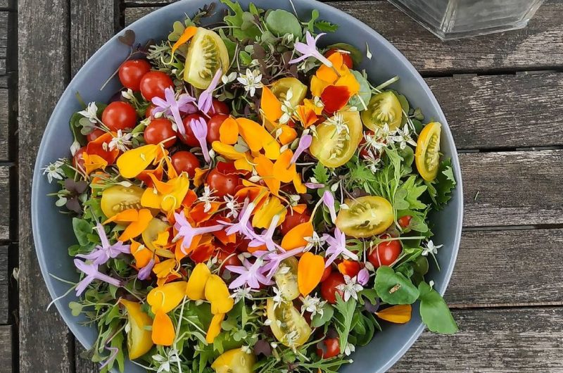 TS_2025-autre campagne (0)