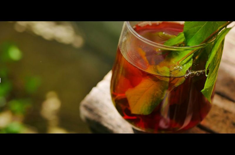 TS_2025-autre campagne (02)