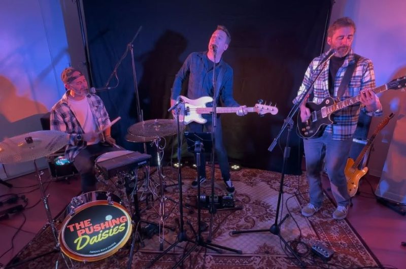 The Pushing Daisies_Vieux-Boucau_landesatlaniquesud