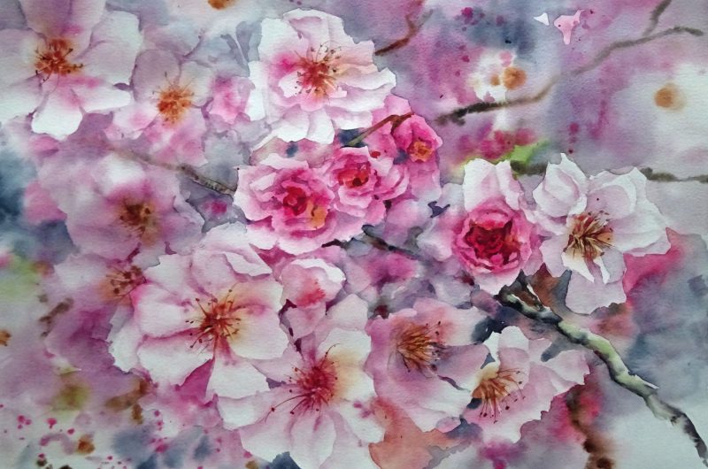 VSG_Larose_fleurs-printemps