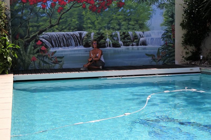 VSG-Larose-fresque-2