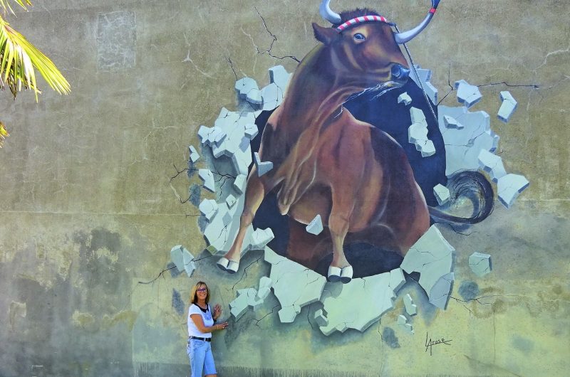 VSG-Larose-vache-landaise-aire-sur-adour–1-