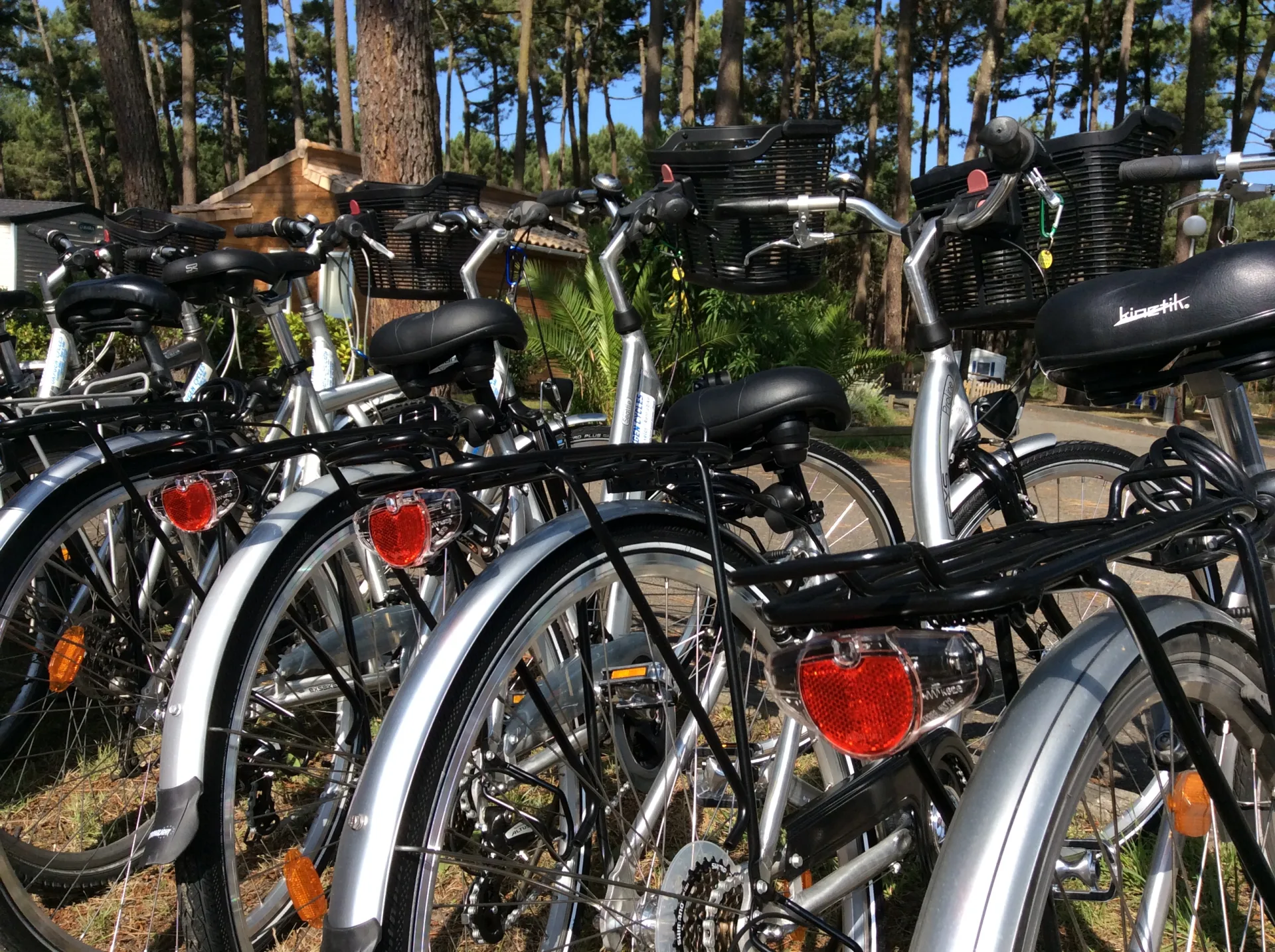 VSG_Oxygen Cycles_nouvelle