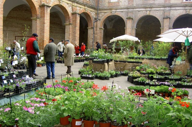 Varietas-Florum-pour-TIS