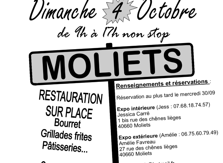 Vide-grenier-oct 26 OTI Landestalantiqueusd Moliets