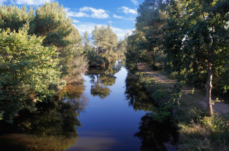 Vignette 800 x 600 billetterie – 45