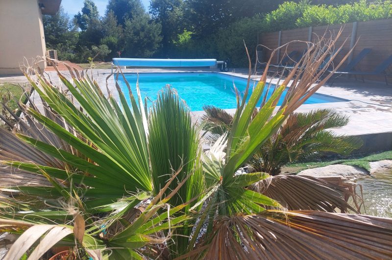Villa Florianne piscine