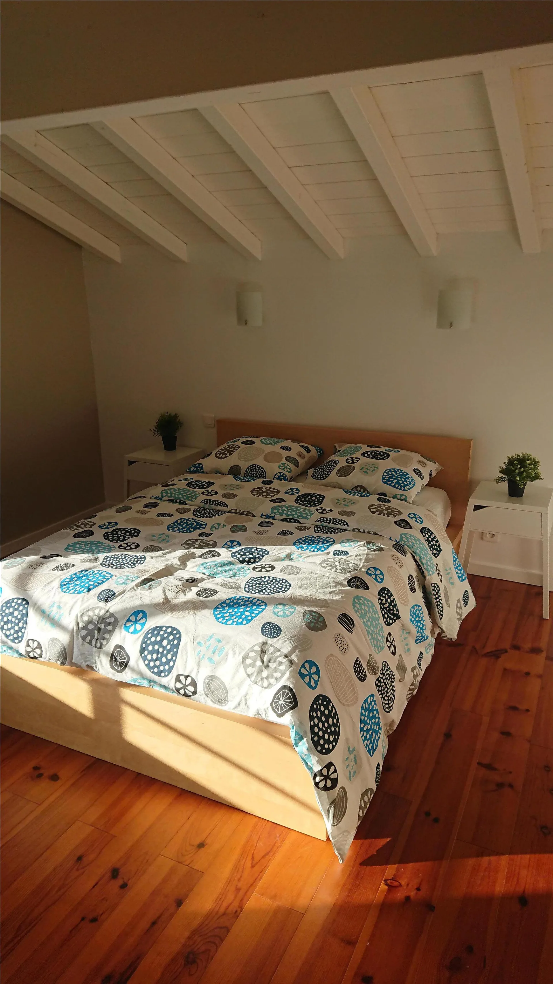 Villa-Glorieux-SOUSTONS-Oti-Landes-Atlantique-Sud–5-