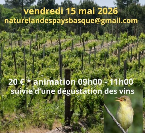 Visite thématique_Domaine Pointe_Capbreton_OTILAS