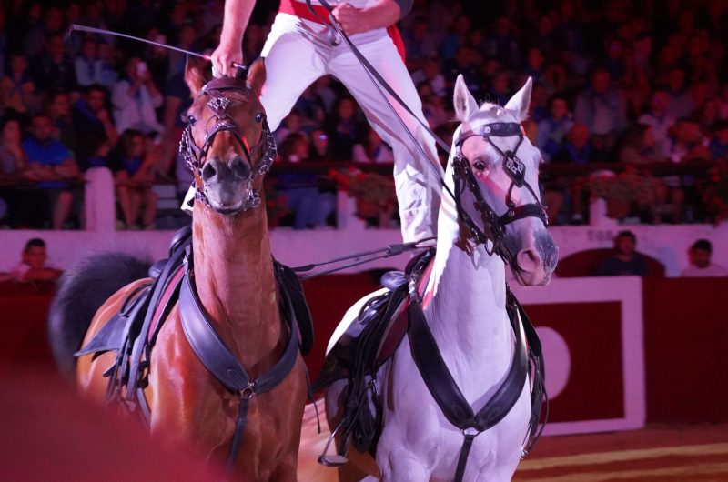 Voltige-landes-emotions