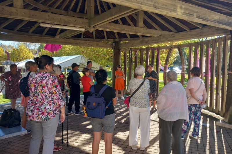 WhatsApp Image 2024-10-30 at 14.40.47