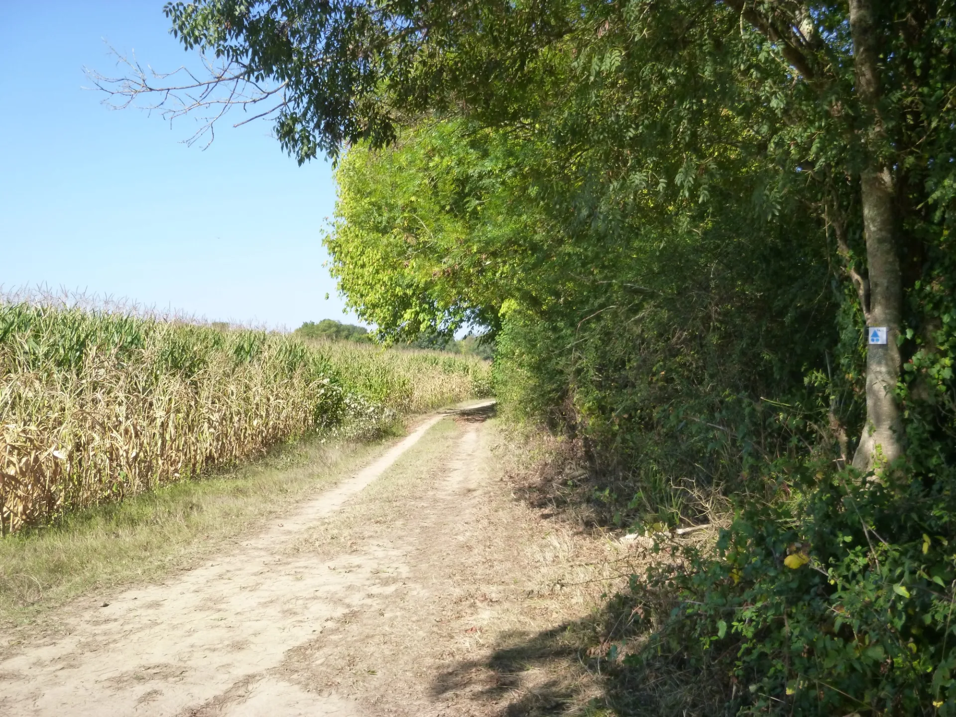Sentier de l’Adour, de Dax à Saint-Vincent-de-Paul