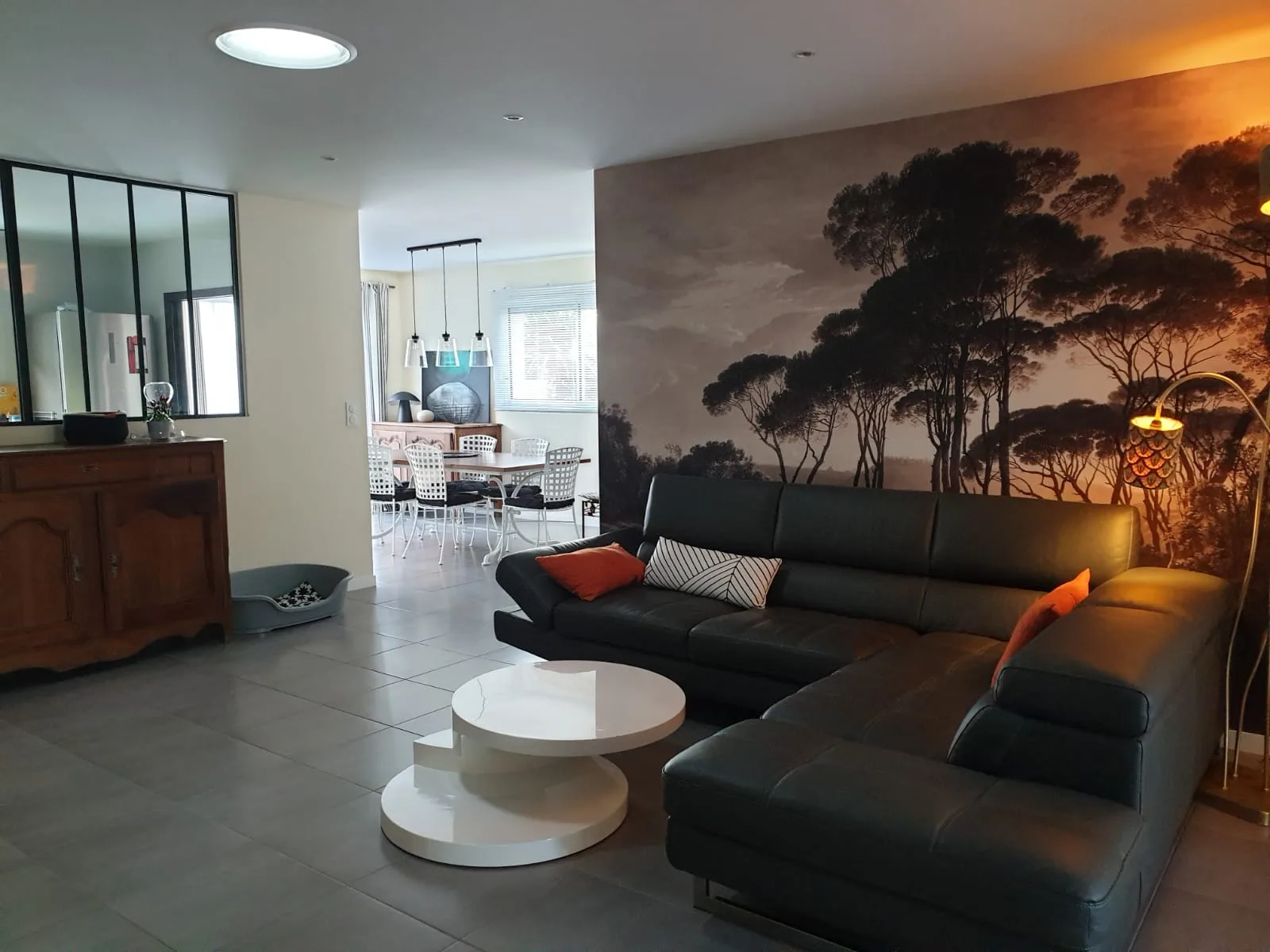 a SALON SEJOUR (002)