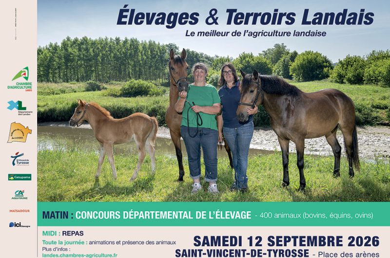 affiche_2026_web