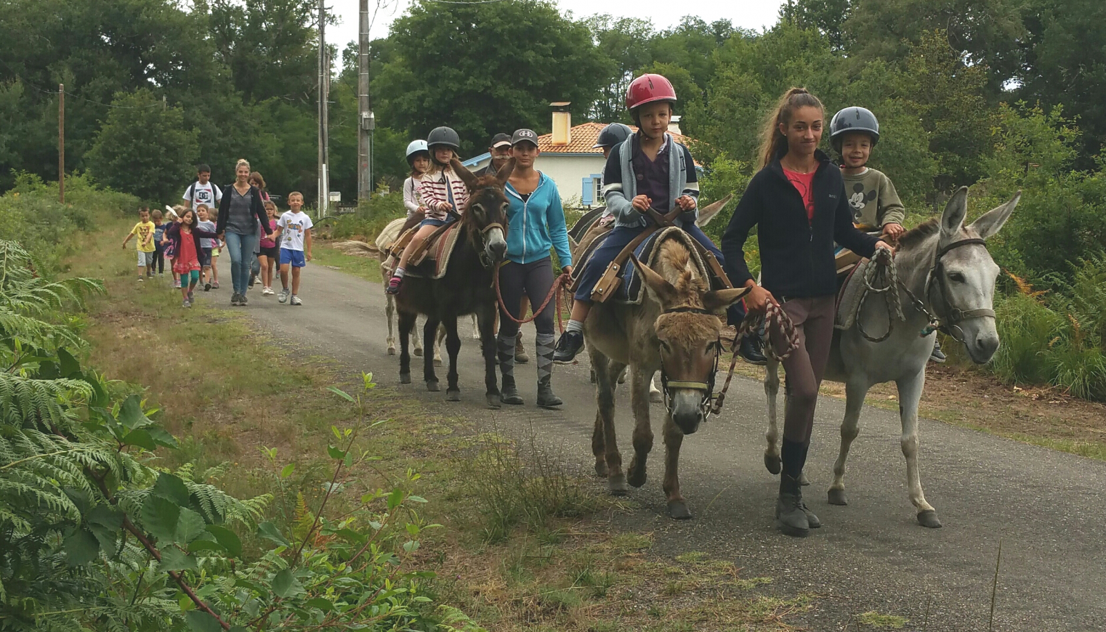 ânes bâtés -balade -3