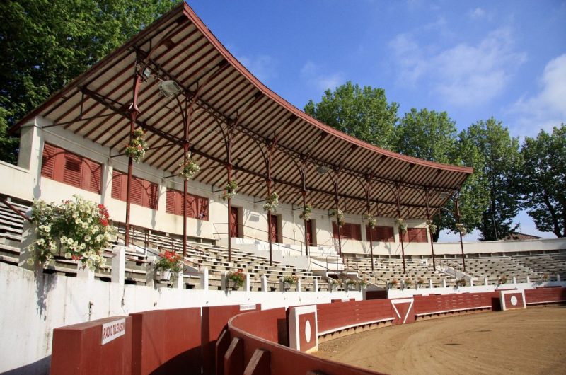 arene-soustons-fleurs-OTLAS