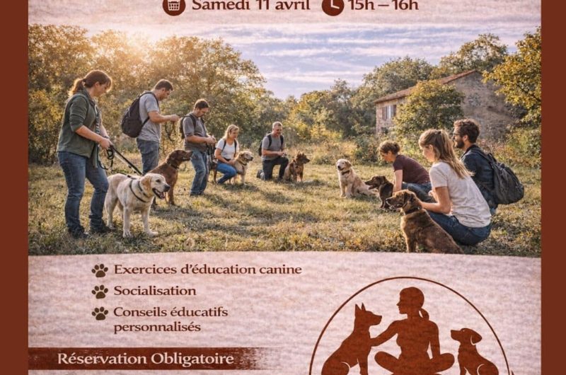 Design sans titre – 1