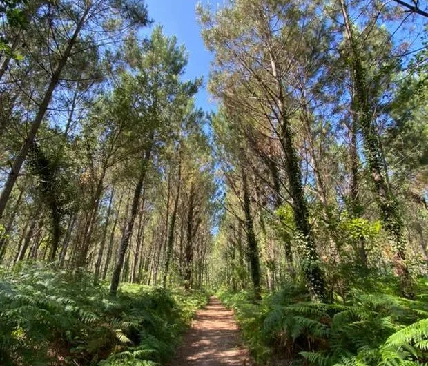 Sentier pédestre Lou coupe-came