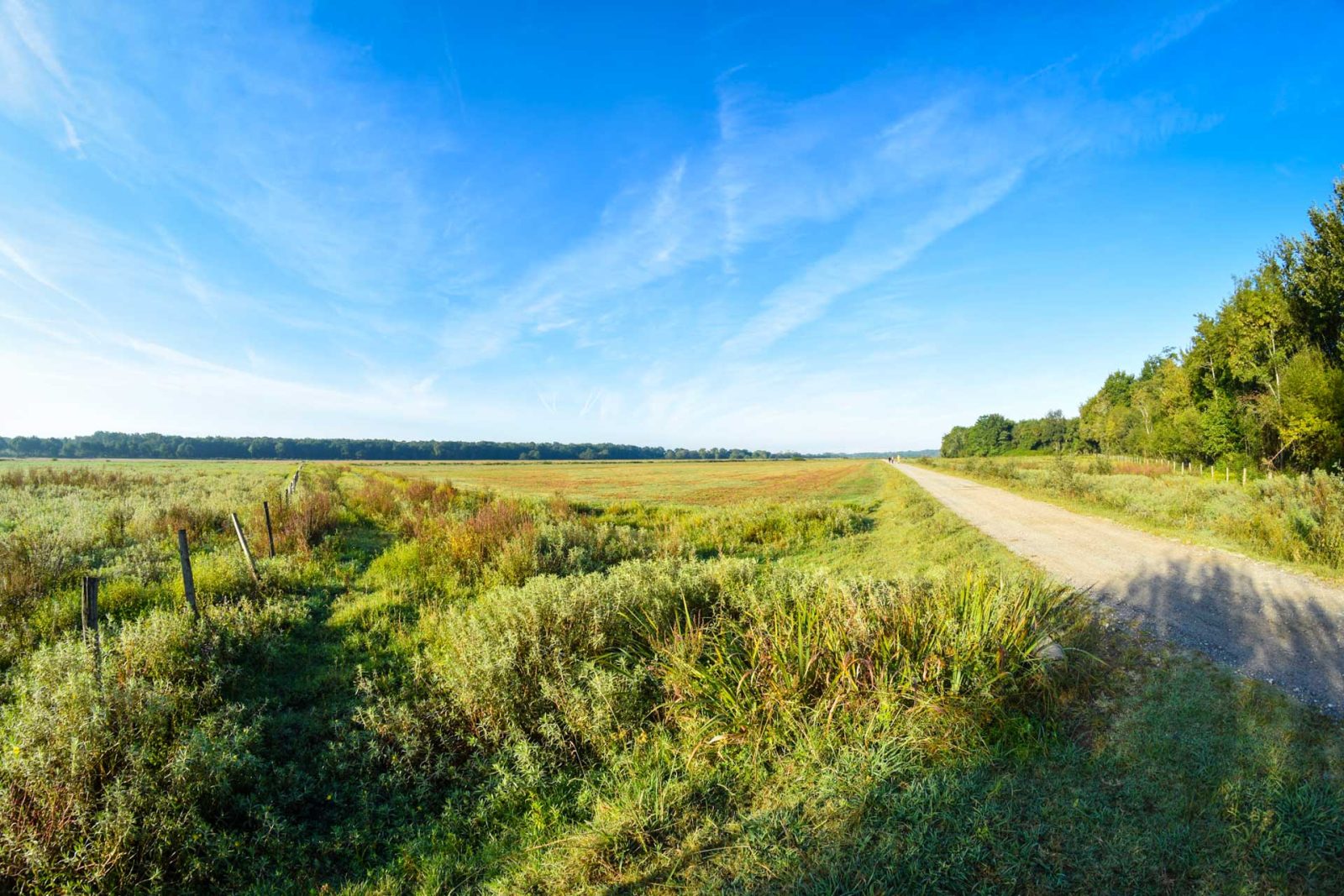 Circuit des barthes neuves