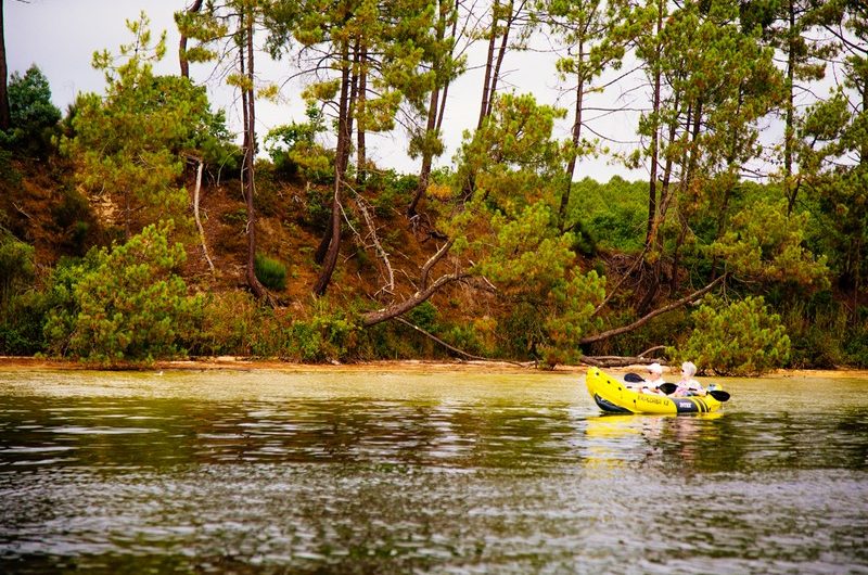 bateau-crique-bisca-decouverte