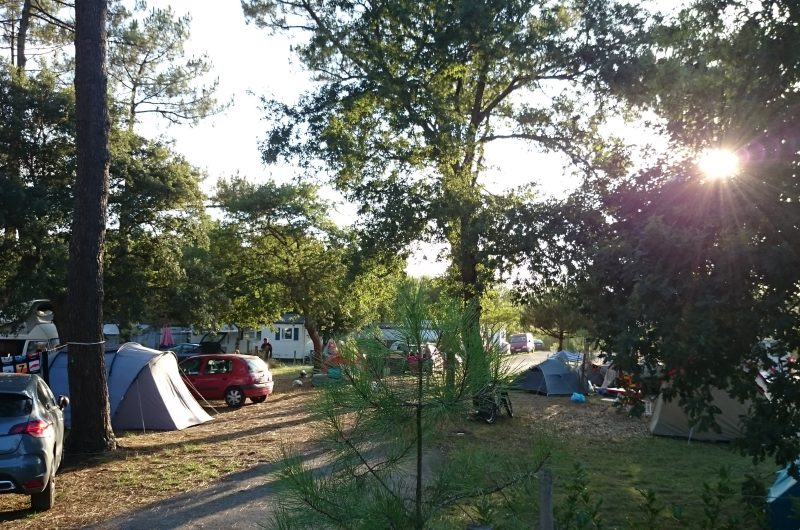 camping albret
