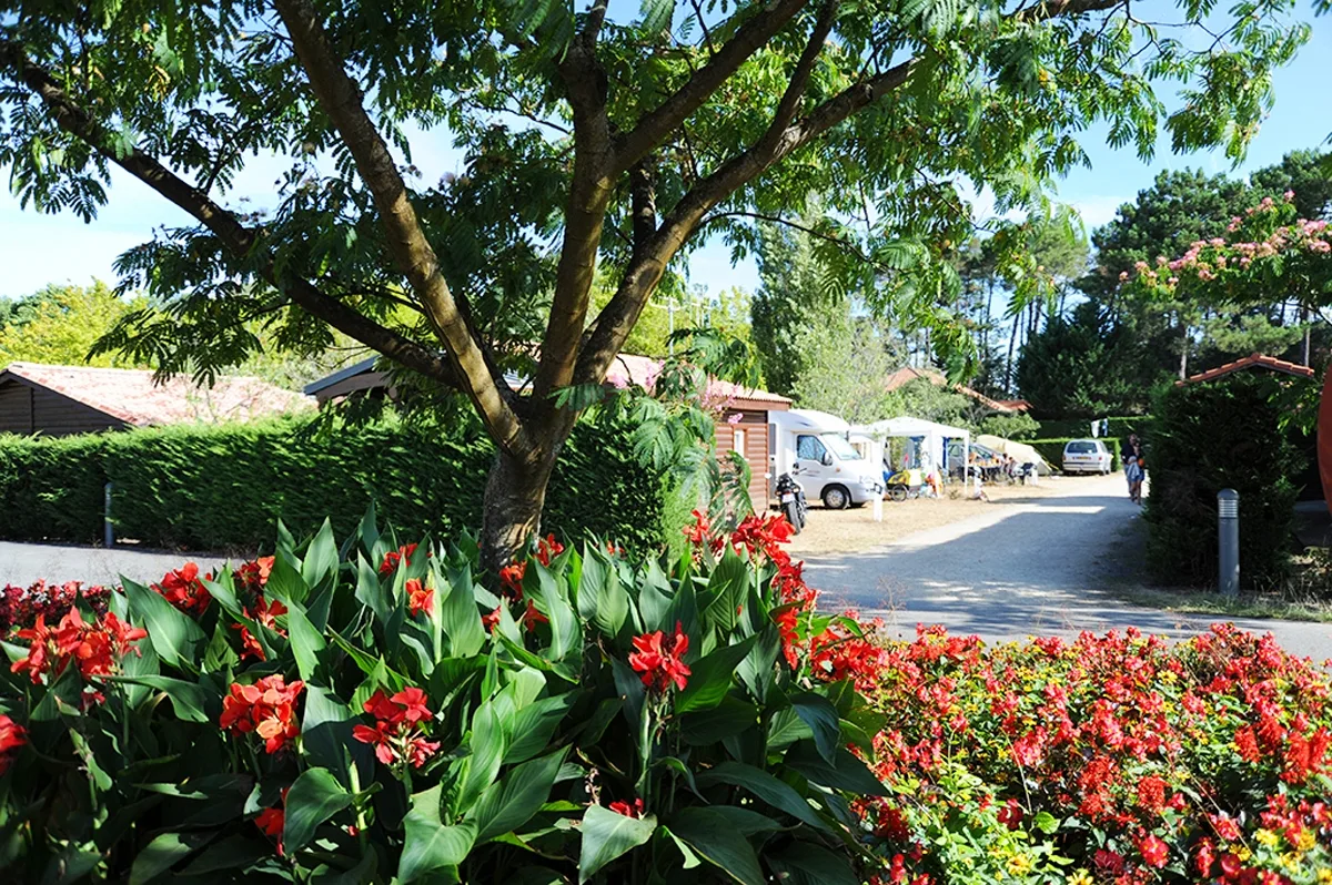 camping le moussaillon_messanges_fleuri (1)